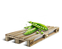 Cargo icon Peas.png