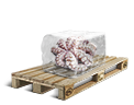 Cargo icon Frozen octopi.png
