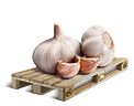 Cargo icon Garlic.png