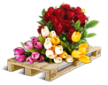Cargo icon Cut flowers.png