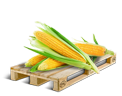 ATS Cargo icon Corn.png