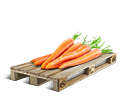 Cargo icon Carrots.png