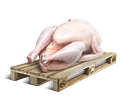 Cargo icon Chicken meat.png