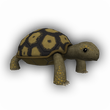 Plush Hermanns tortoise.png
