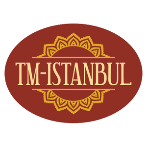 TM Istanbul logo.png