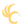 Air Irin logo.png