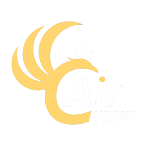Air Irin logo.png
