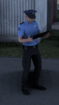 Kosovan policeman