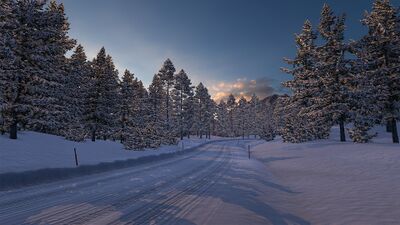 Winterland-Scenery 2.jpg