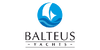 Balteus logo.png
