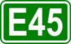 E45 icon.png